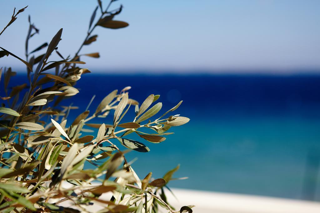 Vokaria Amarandos Sea View Apartments חדר תמונה