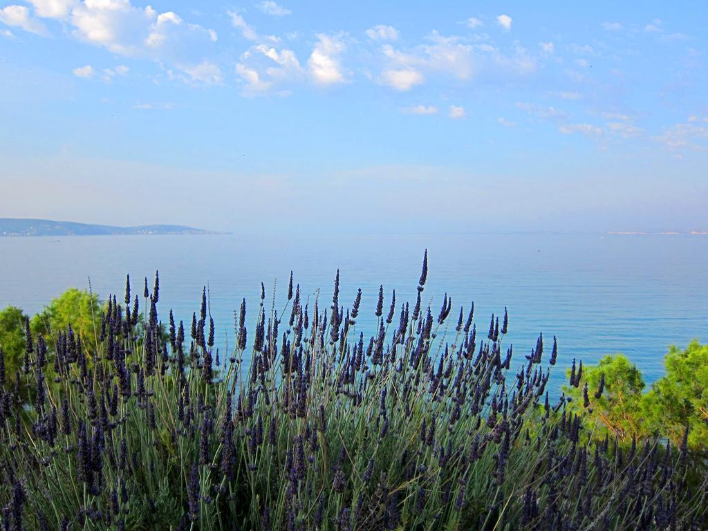 Vokaria Amarandos Sea View Apartments מראה חיצוני תמונה